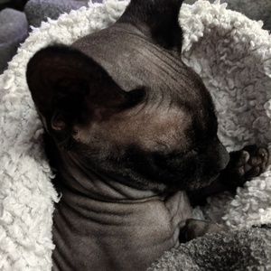 Meet your Posher, Kristin